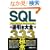 SQL�t������S333�̋ɈӁ\Oracle/SQL Server/Microsoft Jet�Ή�