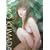 mimosa�\�F�c�j�q�t�@�[�X�g�ʐ^�W