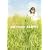 �x�]�R�� CLIPS 1 [DVD]