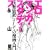�G���}���K�E�X�^�f�B�[�Y�\�u���y���u�v�Ƃ��Ă̖������