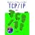 �����̃y�[�X�ł������w��TCP/IP (�G�Ń��N�V���[�Y)