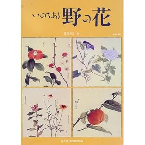 ���̂������̉�