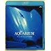 THE AQUARIUM �A�g�����^ �W���[�W�A������<Blu-ray Disc>