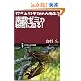 17�N��13�N�����唭��?�f���[�~�̔閧�ɔ���! (�T�C�G���X�E�A�C�V�� 72)