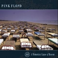 Momentary Lapse of Reason