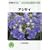 �A�W�T�C (NHK��̉��|�E�悭�킩��͔|12����)