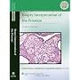 Biopsy Interpretation of the Prostate (Biopsy Interpretation Series)