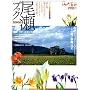 �����u�b�N 2009 (�ʍ��R�Ɵ�J)
