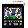 Foundations of Cellular Neurophysiology (Bradford Books)
