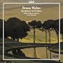 Bruno Walter: Symphony in D minor