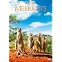 �~�[�A�L���b�g �X�y�V�����E�G�f�B�V���� [DVD]