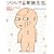 �\�E���ŐV�������B�\�V�ȃ��[�R�����̊؍���炵