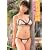 �Ėڗ��� �ӂ�~���ނ� [DVD]