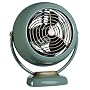 Vornado �T�[�L�����[�^�[�i��C�z��j �A���e�B�[�N�O���[�� �y���v���J���f�� 6 - 24���p�z VF20