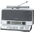 Panasonic TV(1ch-12ch)/FM/AM���W�I RF-U700-S