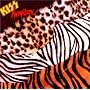 Animalize