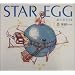 STAR EGG ���̋ʎq����