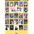 �G�����Ŗ쒹�����ʂł���{ (BIRDER SPECIAL)
