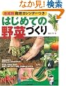 �͂��߂Ă̖�؂Â���\�n��ʍ͔|�J�����_�[�� (���pBEST BOOKS)