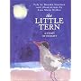 The Little Tern: A Story of Insight