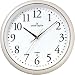 CASIO (�J�V�I) �|�����v WAVE CEPTOR �E�F�[�u�Z�v�^�[ �d�g���v (�����E��B���ǑΉ�) �A�i���O IQ-1000J-7JF