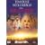 �y���Ȃ��n�� [DVD]