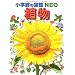 �A�� (���w�ق̐}��NEO)