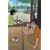 ���݂���! 3 [DVD]