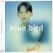 blue bird