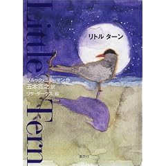 Little Tern