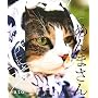 �łԂ˂��߂�܂���