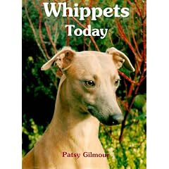 Whippets Today