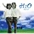 H2O �x�X�g10