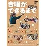 �������ł���܂� [DVD]