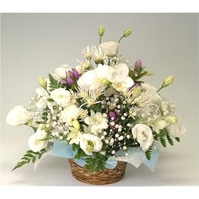 �G�[�f�����C�X �������A�����W�����g�f�U�C�i�[�Y�`���C�X�t�H�[�l���������������ԁk�����S�Łl