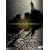 �S���̃C�[�W�X �R���N�^�[�YBOX (������萶�Y) [DVD]