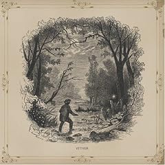 Vetiver