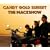CANDY GOLD SUNSET
