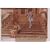 �W���b�N�E�����F�b�g����R���N�V���� �Z���[�k�ƃW�����[�͏M�ł䂭 [DVD]
