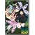 �n������ �O�C �Z [DVD]