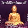 Buddha-Bar, Vol. 9