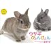 2010�E�T�M�҂��҂��(Yama-Kei Calendar)