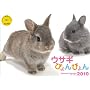 2010�E�T�M�҂��҂��(Yama-Kei Calendar)