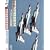 �T���_�[�o�[�Y 2009 in �O�� [DVD]