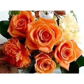 ���a��������I�ׂ�I�t�����[���� �y�kdo�l �y�����Ăэ��ރt�����[���� Florist S.F.D�z ~ �v���U�[�u�h�t�����[ �����₲����̃C���e���A�ɂǂ��� ~