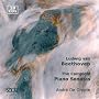 Comp Piano Sonatas