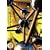 SIDNAD Vol.3~TOUR 2008 �Z���`�����^���}�L�A�[�g [DVD]