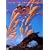 Keys to Ascension [DVD] [Import]