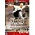 ������ [DVD]