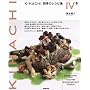 KIHACHI�l�G�̃��V�s�W (4) �~